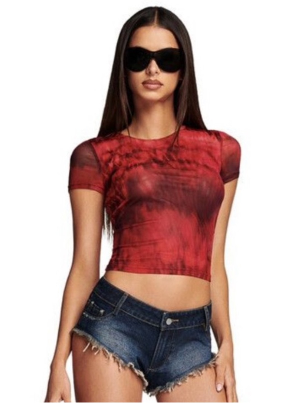 Ari Mesh Crop Top